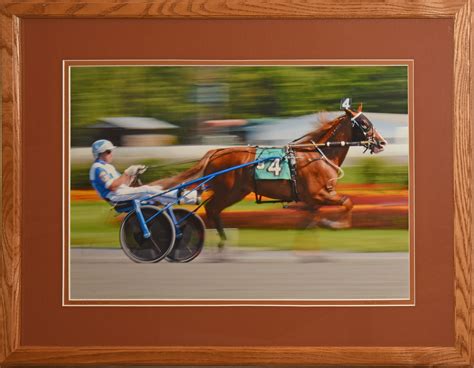 Everyone likes to get <b>free</b> stuff! The racetrack will give away one item for each paid admission at the track on these special days (while supplies last). . Saratoga harness free program